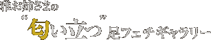 남o܂́ghtF`M[